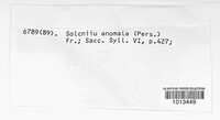 Merismodes anomala image